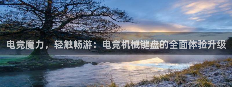 易游电竞赛事直播：电竞魔力，轻触畅游：电竞机械键盘的全面体验升级