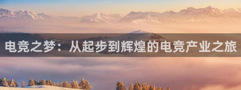 易游电竞酒店：电竞之梦：从起步到辉煌的电竞产业之旅