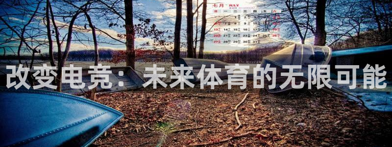 易游电竞中国区：改变电竞：未来体育的无限可能