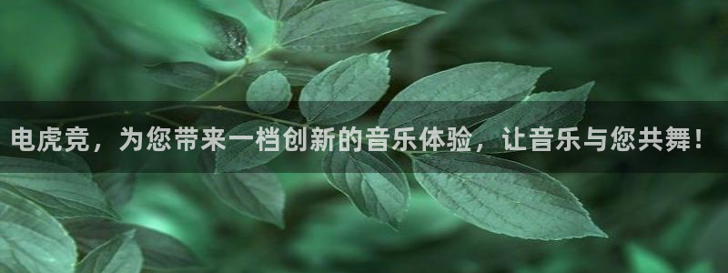 易游电竞中国区：电虎竞，为您带来一档创新的音乐体验，让音乐与您共舞！
