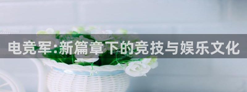 易游电竞平台：电竞军:新篇章下的竞技与娱乐文化