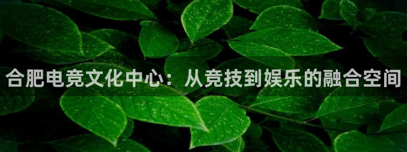 易游电竞馆：合肥电竞文化中心：从竞技到娱乐的融合空间