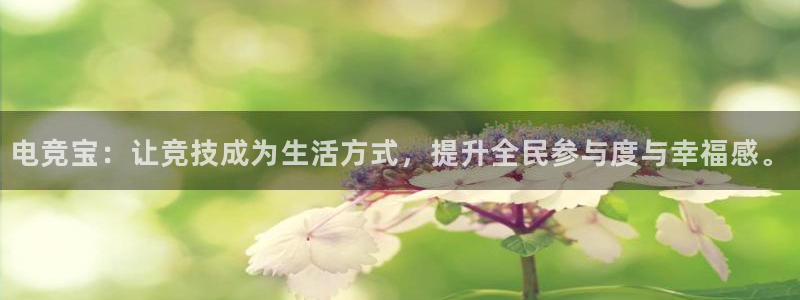 易游电竞cf：电竞宝：让竞技成为生活方式，提升全民参与度与幸福感。