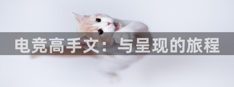 易游电竞网咖：电竞高手文：与呈现的旅程