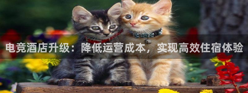易游电竞淮阴区：电竞酒店升级：降低运营成本，实现高效住宿体验
