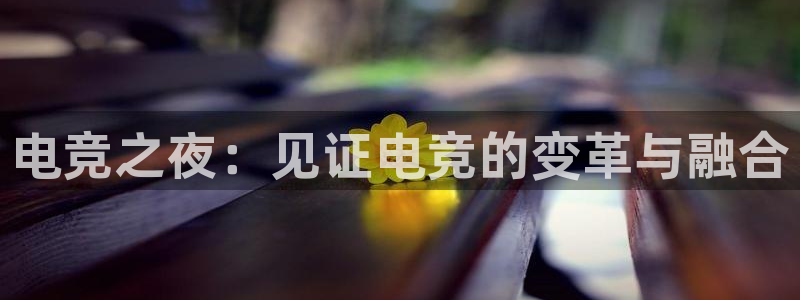 易游电竞酒店：电竞之夜：见证电竞的变革与融合
