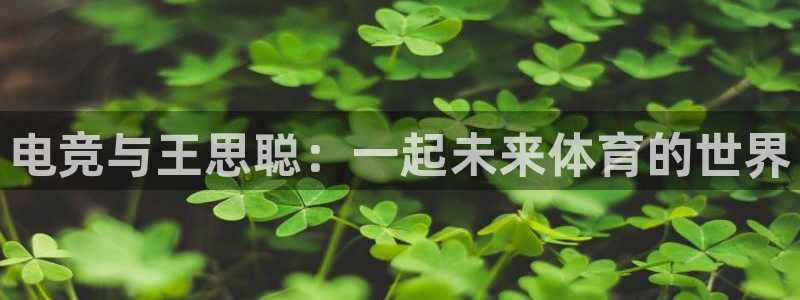 易游电竞：电竞与王思聪：一起未来体育的世界