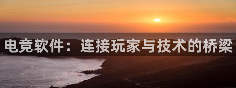 易游电竞平台：电竞软件：连接玩家与技术的桥梁